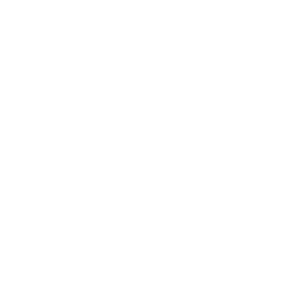 Simple white flower with eight elongated petals radiating from a central circle on a black background.